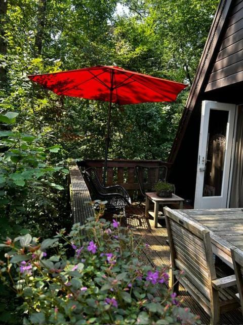 Chalet Woods Дюрбюї Екстер'єр фото